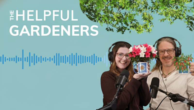 6 Plants to Inspire your 2026 Garden