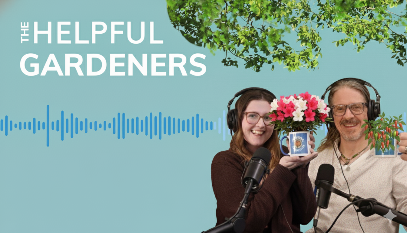 6 Plants to Inspire your 2026 Garden 6 Plants to Inspire your 2026 Garden