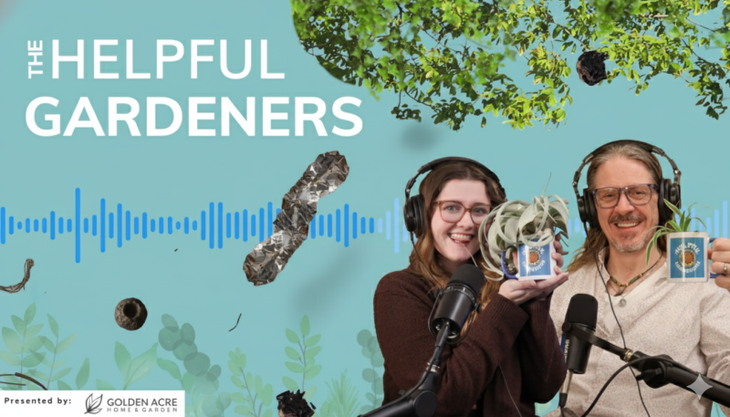 Space Junk in the Garden?