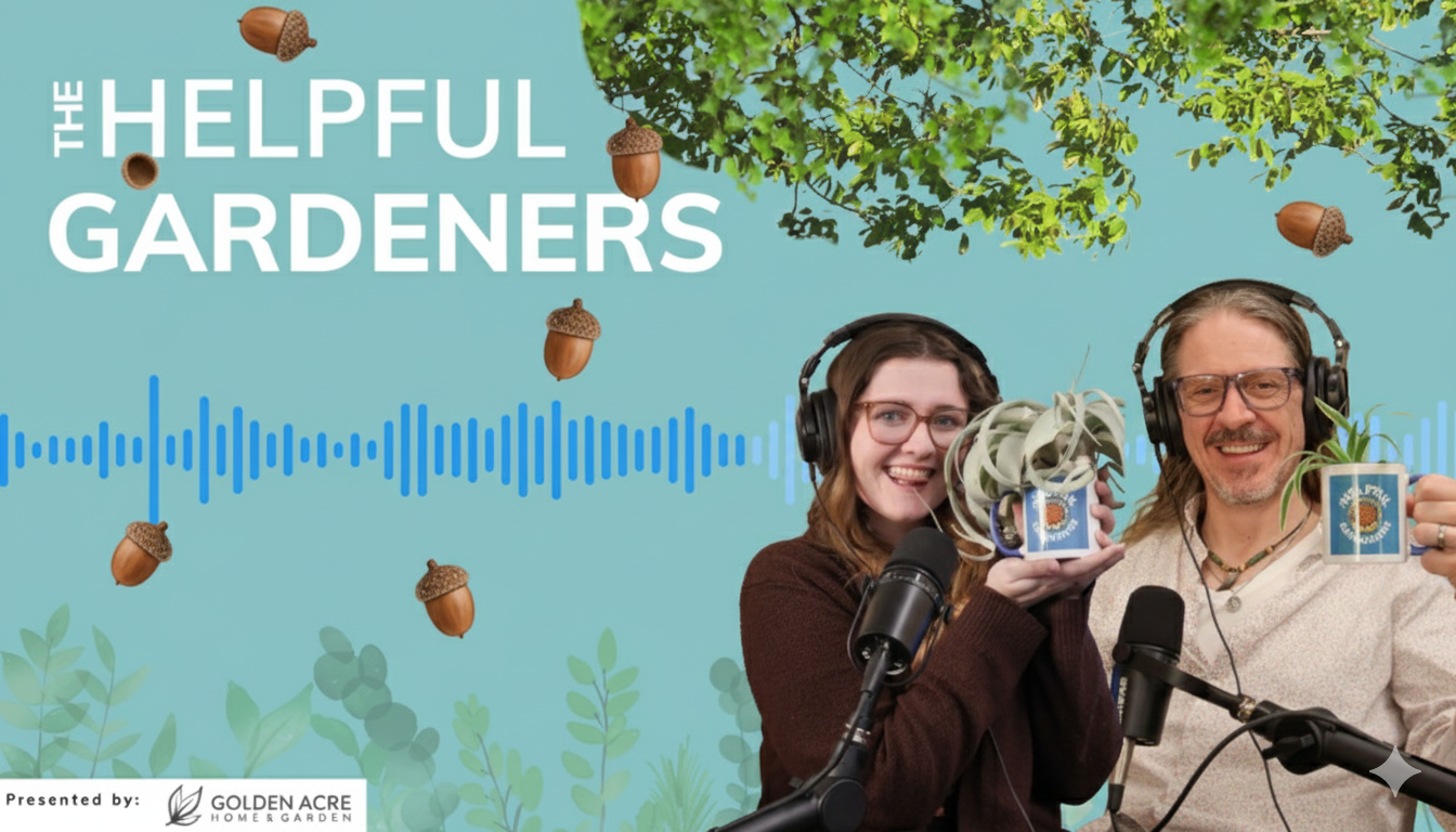 Nutty Things are Happening Nutty Things are Happening