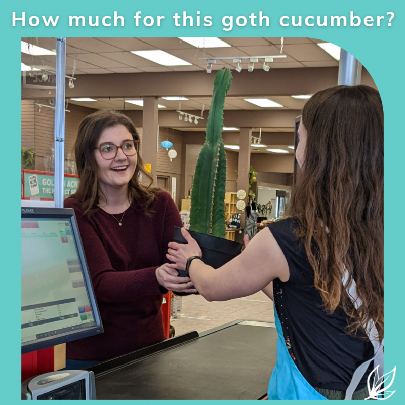 How Much For This Goth Cucumber