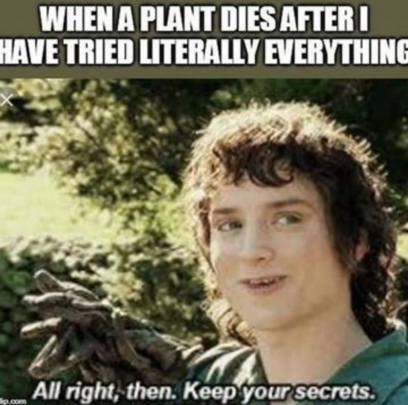 Plant meme 20