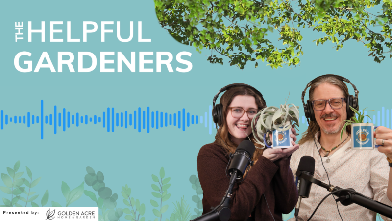 Seed Saver’s Secrets