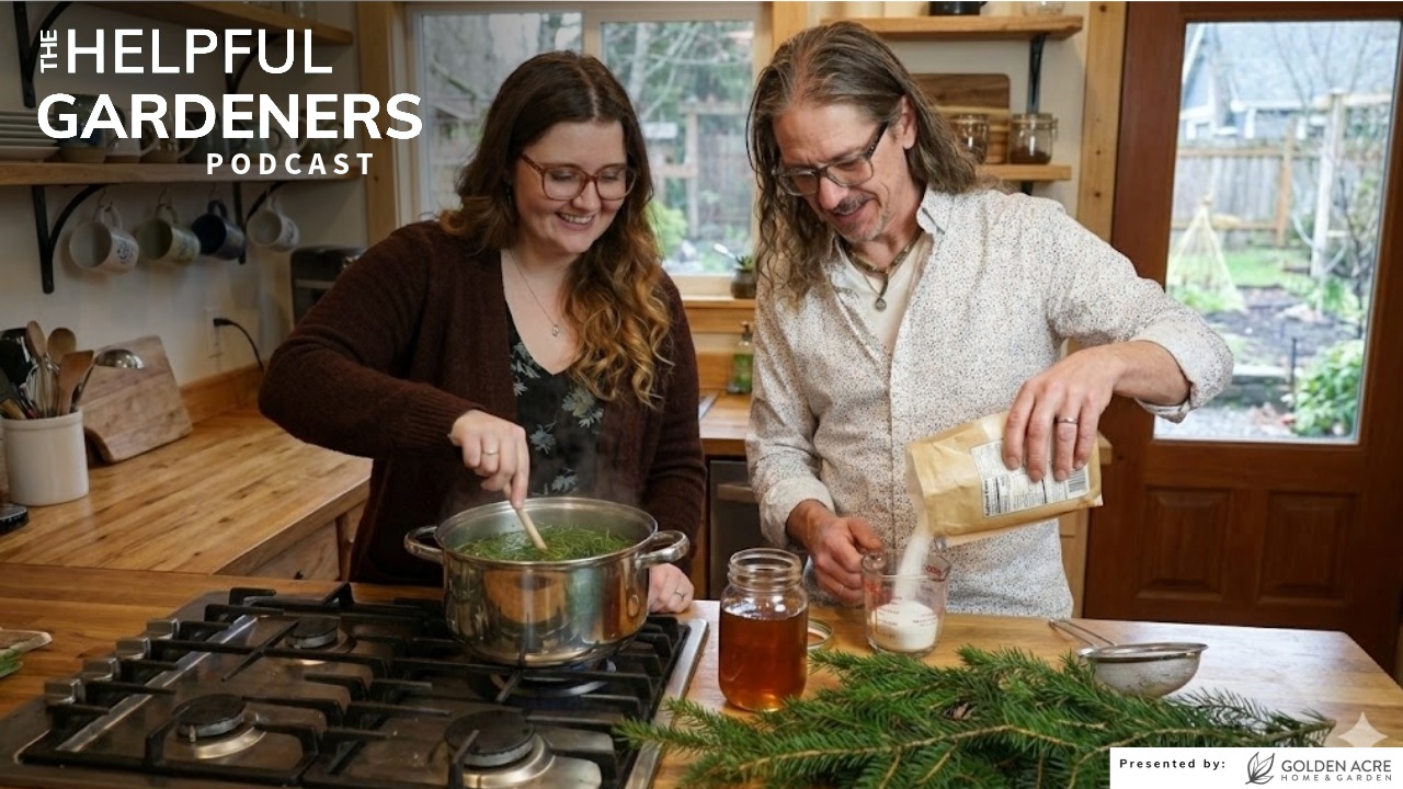 Turn a Balsam Fir into a Dirty Soda Turn a Balsam Fir into a Dirty Soda