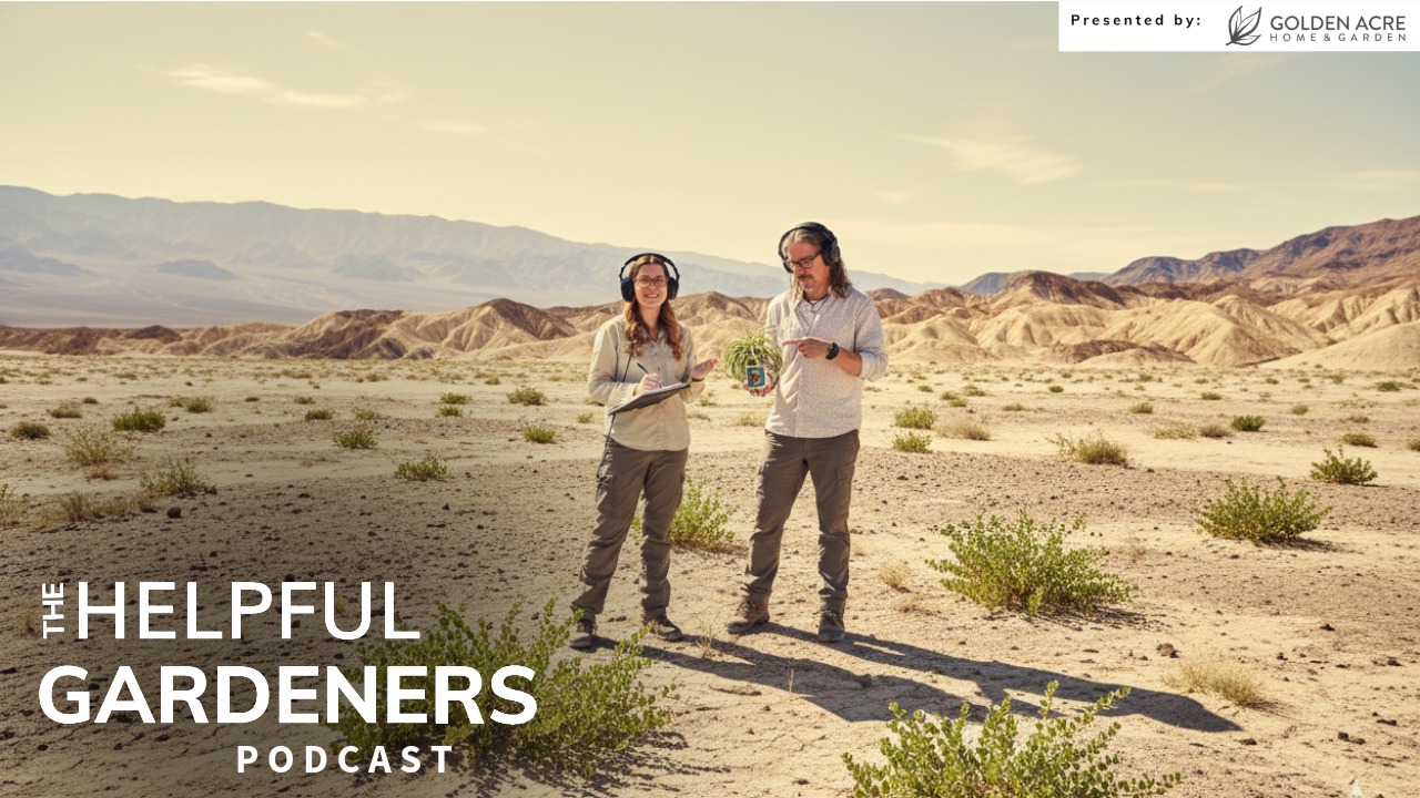 Plants… uh… Find a Way | Scientists Find a Plant in Death Valley That Thrives in Extreme Temps Plants… uh… Find a Way | Scientists Find a Plant in Death Valley That Thrives in Extreme Temps