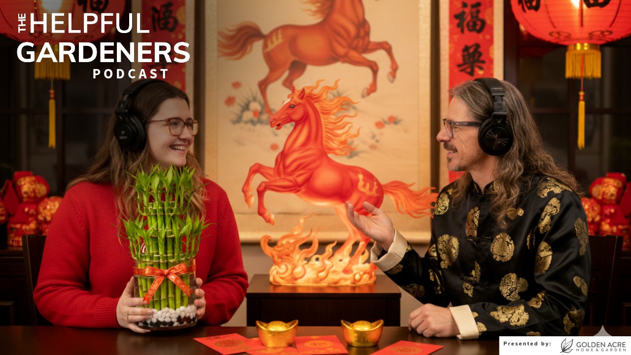 Celebrating Lunar New Year 2026 with Lucky Bamboo!