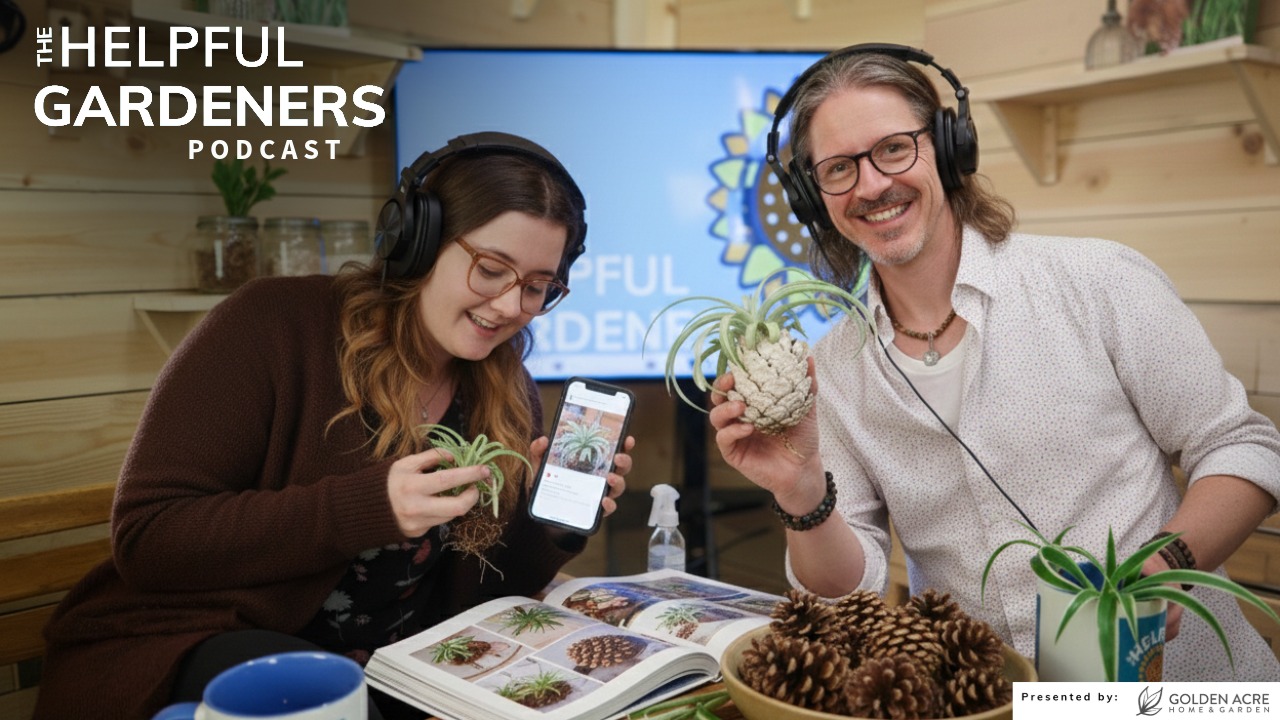 Bloom Scrolling & Growing Plants in Pinecones?! Bloom Scrolling & Growing Plants in Pinecones?!