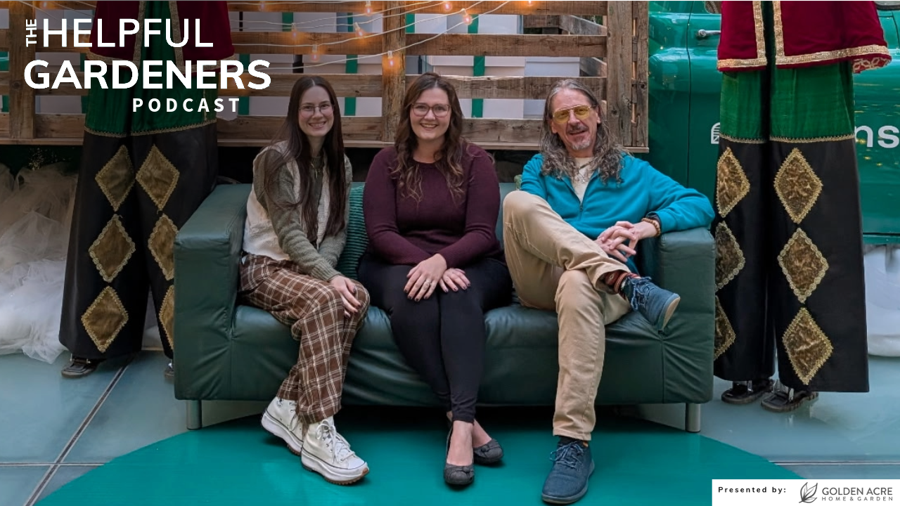 The Secret Ingredient for Happy Places