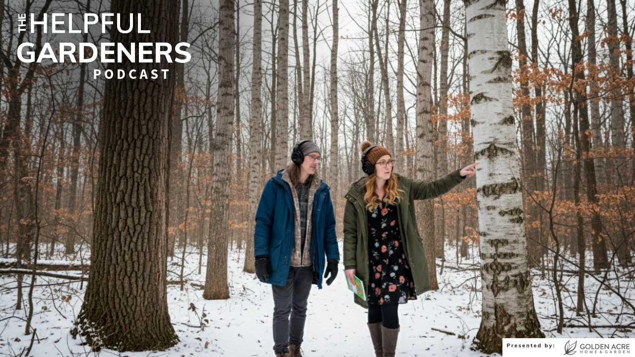 Identifying Naked Trees In the Winter