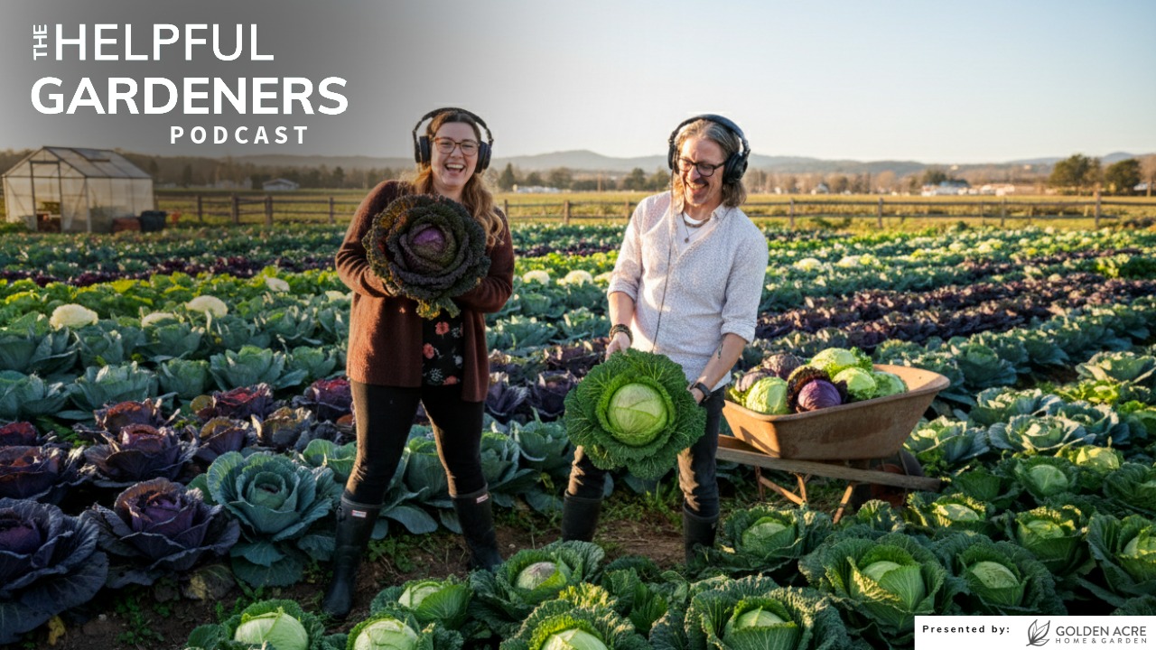 The Trend You Didn’t See Coming: Cabbage Crush! The Trend You Didn’t See Coming: Cabbage Crush!